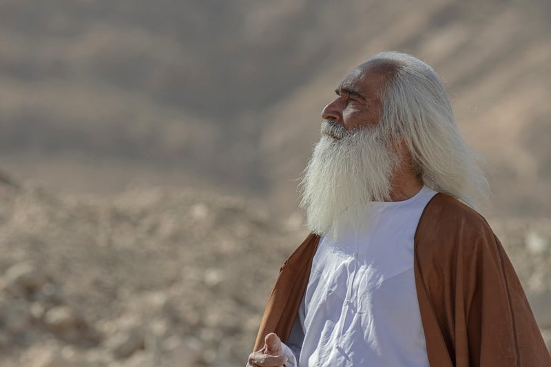 Middle Eastern Fusion